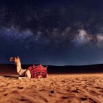 Doha: Private Desert Safari at Night with Stargazing - What Makes This Tour Special?