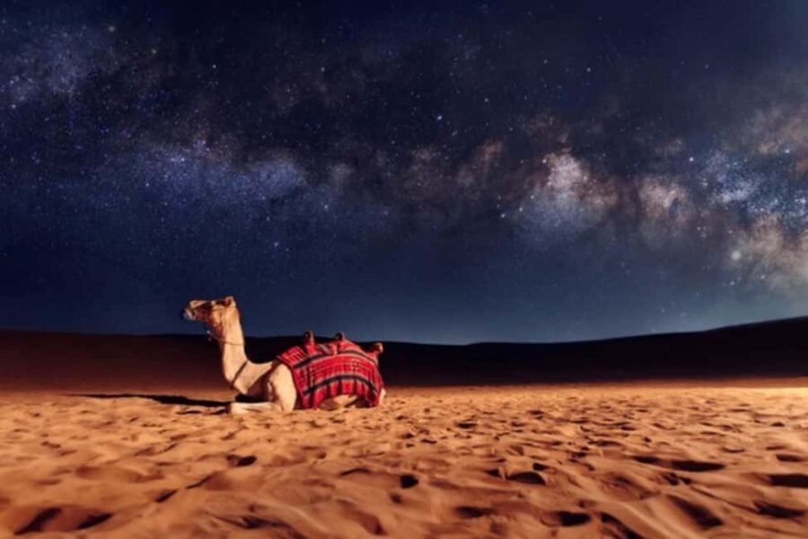 Doha: Private Desert Safari at Night with Stargazing - What Makes This Tour Special?