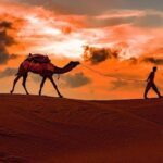 Doha: Private NIGHT desert safari with free camel ride - What’s Included & What to Consider