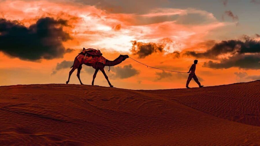 Doha: Private NIGHT desert safari with free camel ride - What’s Included & What to Consider