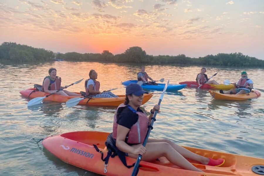 Doha: Private Purple Island Mangroves Kayaking Adventure - What You Can Expect on the Tour