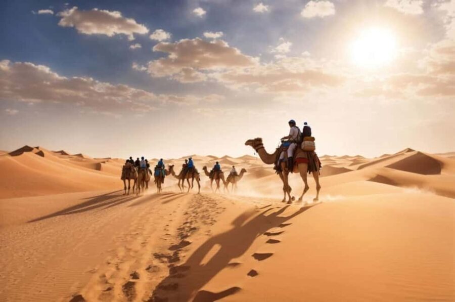 Doha Qatar : sealine adventure Camel Ride sandboard Sunset - Key Points