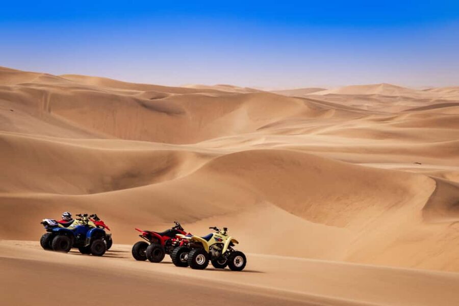 Doha: Quad Bike, Dune Bashing, Camel Ride & Inland Sea Tour - Transportation, Timing, and Group Size
