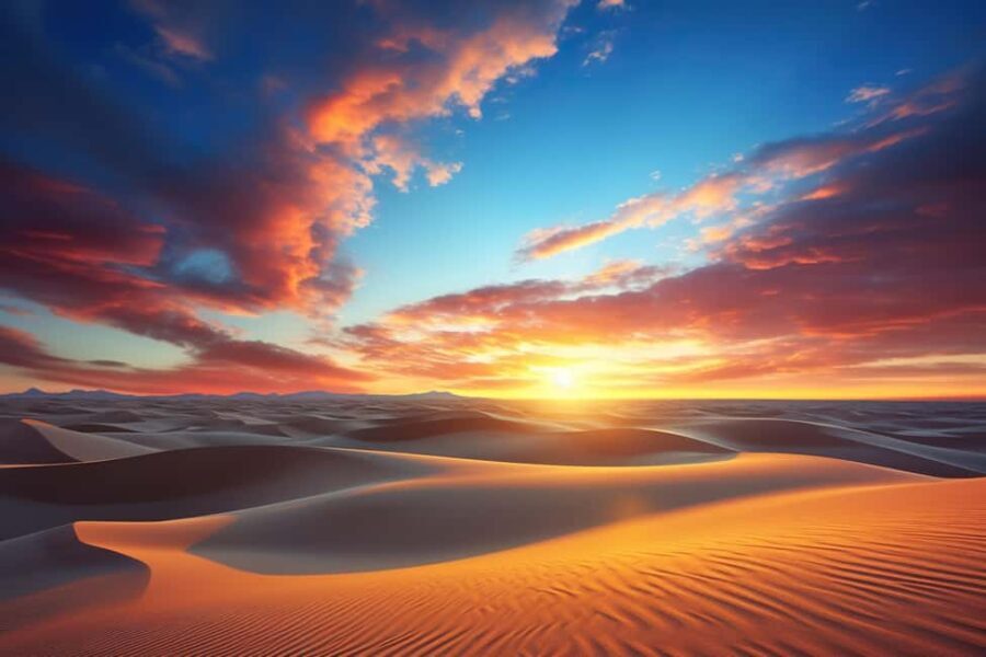 Doha: Safari, ATV, Camels, Sandboarding and Inland Sea Tour - Practical Details & Value