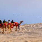 Doha: Safari, Camel Ride, Sandboarding and Inland Sea Tour - Dune Bashing: A Mix of Thrills and Scenic Dust