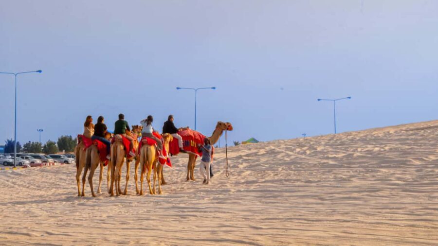 Doha: Safari, Camel Ride, Sandboarding and Inland Sea Tour - Dune Bashing: A Mix of Thrills and Scenic Dust