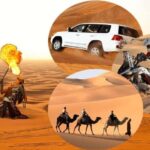 Doha: Safari, Camel Ride, Sandboarding and Inland Sea Tour - What to Expect in Practical Terms