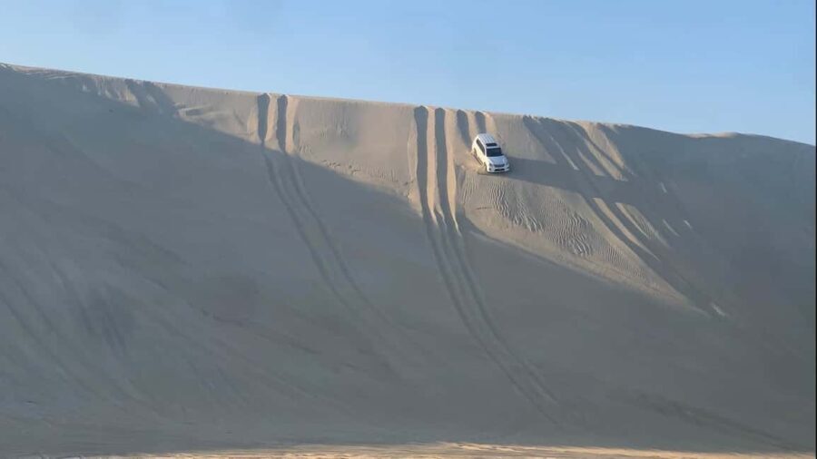 Doha: Safari | Inland Sea Tour | Camel Ride | Sandboarding - The Authenticity of the Experience