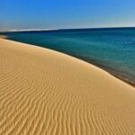 Doha Safari- Quadbike, Camel Ride, Sandboarding & Inland Sea - Authentic Experiences and Review Highlights