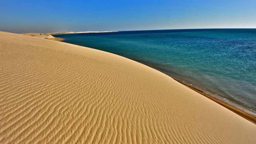 Doha Safari- Quadbike, Camel Ride, Sandboarding & Inland Sea - Authentic Experiences and Review Highlights