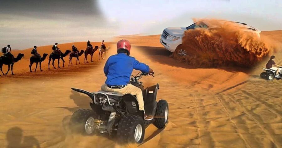 Doha Safari Quadbike, CamelRide, Sandboarding & Inland Sea - Practical Details and What’s Included