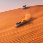 Doha Safari with Camel Ride, Inland Sea & Hotel Transfer - The Practicalities: What You Need to Know