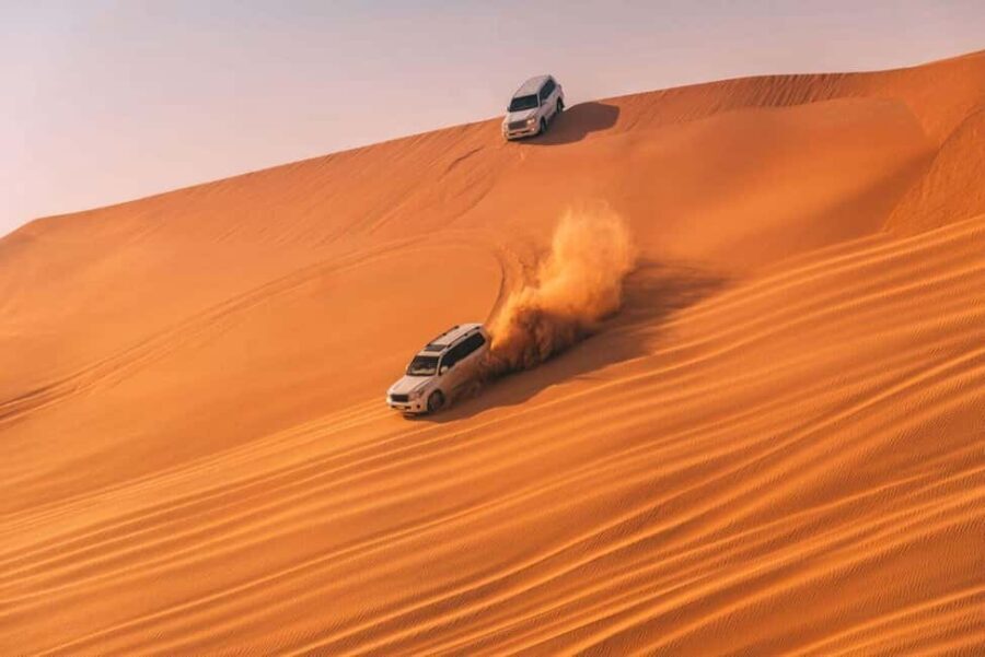 Doha Safari with Camel Ride, Inland Sea & Hotel Transfer - The Practicalities: What You Need to Know