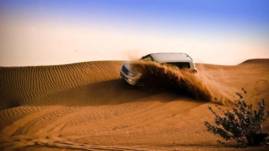 Doha: Shared Desert Safari, Sandboarding, Camel Ride - What You Can Expect from the Desert Safari