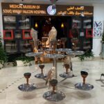 Doha: Souq Waqif, Dhow Harbour, and Street Food Walking Tour - Authentic Experiences and Genuine Value
