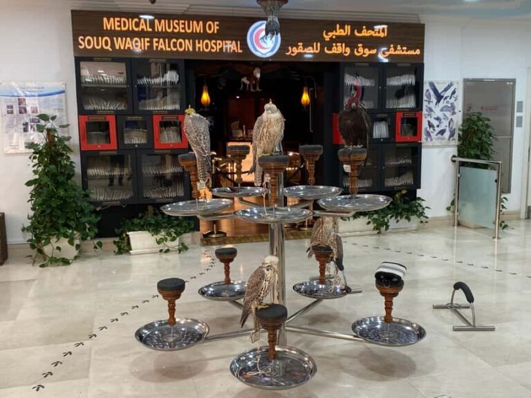 Doha: Souq Waqif, Dhow Harbour, and Street Food Walking Tour - Authentic Experiences and Genuine Value