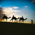 Doha: Stargazing Desert Safari w/ Dune Bashing & Camel Ride - Authentic Insights from Reviewers