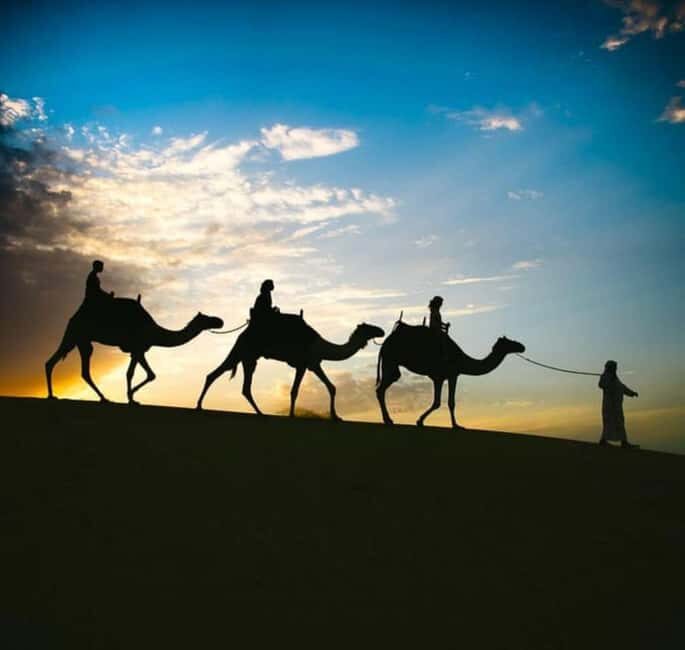 Doha: Stargazing Desert Safari w/ Dune Bashing & Camel Ride - Authentic Insights from Reviewers