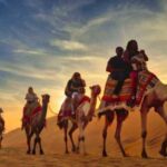 Doha : Sunshine Or Sunset Desert Safari With Sand Boarding - The Practical Side: Logistics and Value