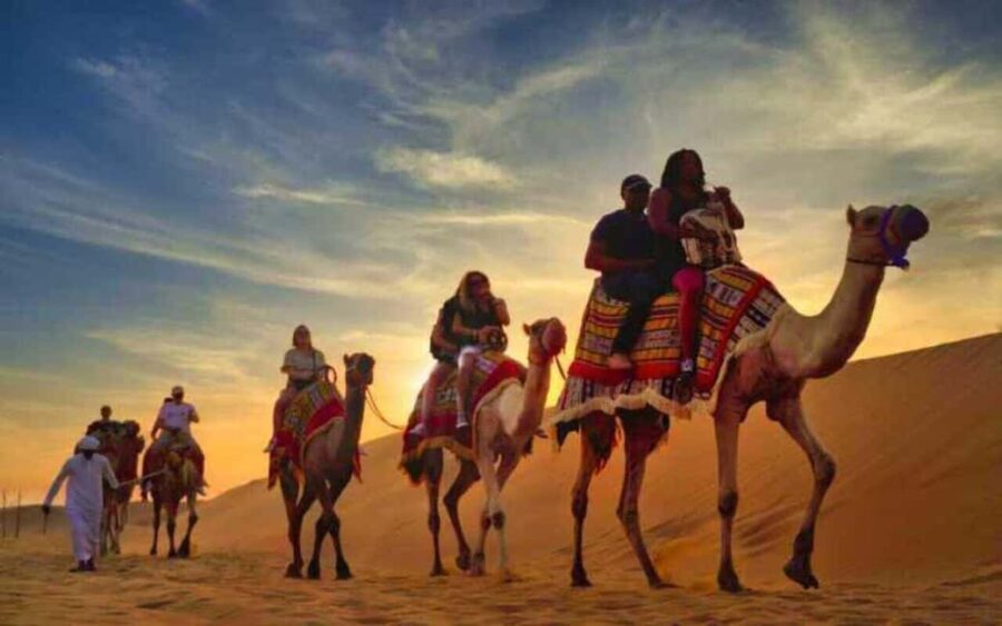 Doha : Sunshine Or Sunset Desert Safari With Sand Boarding - The Practical Side: Logistics and Value