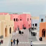 Doha: Transit City Tour (Private & Sharing) - What’s Included and What to Expect