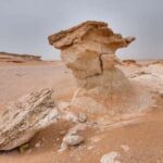 Doha: West Qatar Richard Serra Sculpture,Rock Formation Tour - Practical Details and Comfort