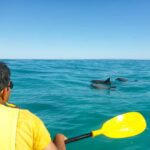 Dolphin Kayak Tour & Beach 4X4 National Park Tour (Private) - Practical Details and Tips for Your Trip