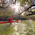 Dolphin Sanctuary and Ships Graveyard Kayak Tour - Paddling Pace and Comfort