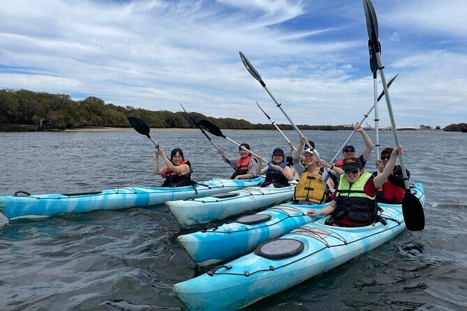 Dolphin Sanctuary Kayak Tour Adelaide - Value for Money and Overall Impression