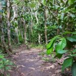 Dolphin tour and beautiful kendwa beach - Who Should Consider This Tour?