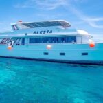 Dolphin Tour with Red Sea Fun. The Best in Hurghada - Who Should Consider This Tour?
