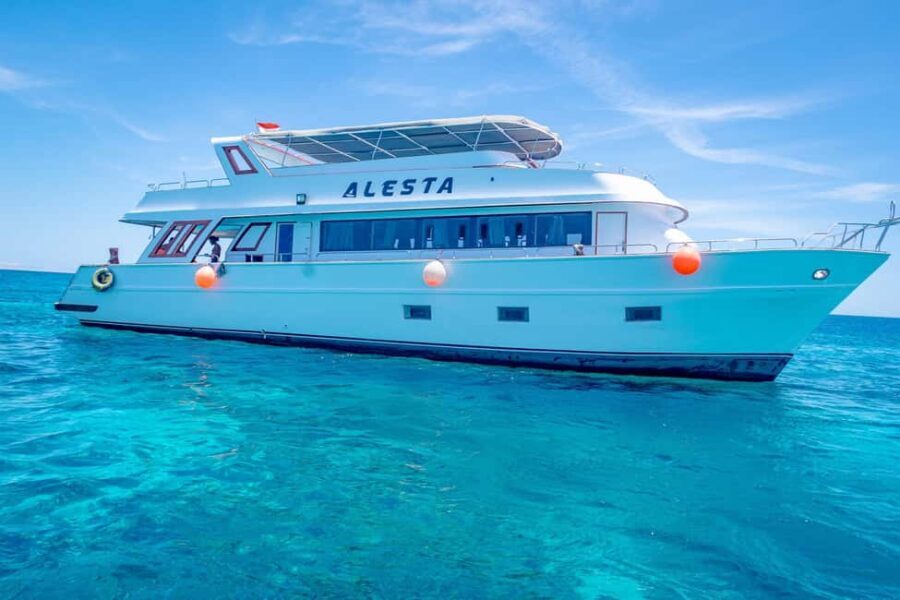 Dolphin Tour with Red Sea Fun. The Best in Hurghada - Who Should Consider This Tour?