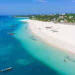 Dolphins Tour! Mnemba Island Snorkeling - Practical Details and Tips
