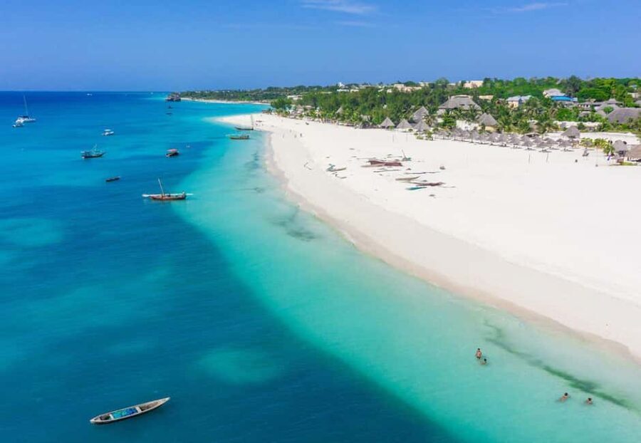 Dolphins Tour! Mnemba Island Snorkeling - Practical Details and Tips