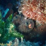 Double Boat Dive with Equipment - What You Need To Know: Practical Details
