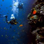 DSD Discover Scuba Diving for a beginner or Certified - What Makes This Shore Diving Experience Stand Out?