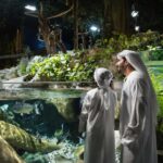 Dubai: Aquarium and Underwater Zoo Experience - The Experience Itself: A Detailed Breakdown