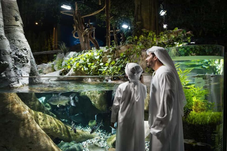 Dubai: Aquarium and Underwater Zoo Experience - The Experience Itself: A Detailed Breakdown
