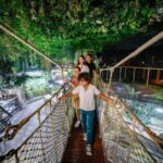 Dubai Aquarium + Sky Views Observatory Tickets - Practical Details and Tips
