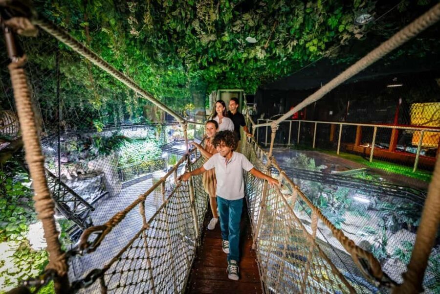Dubai Aquarium + Sky Views Observatory Tickets - Practical Details and Tips