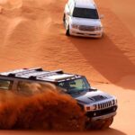 Dubai: Desert Safari, Camel, Quad Ride & Mesmerizing Shows - Who Should Consider This Tour?