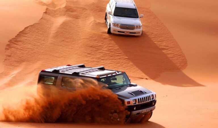 Dubai: Desert Safari, Camel, Quad Ride & Mesmerizing Shows - Who Should Consider This Tour?