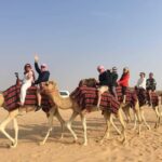 Dubai: Dune Quad Drive, Camels And Sand Boarding - Final Thoughts: Is It Worth It?