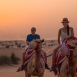 Dubai: Evening Camel Trekking & Dinner at Al Marmoom Oasis - Key Points