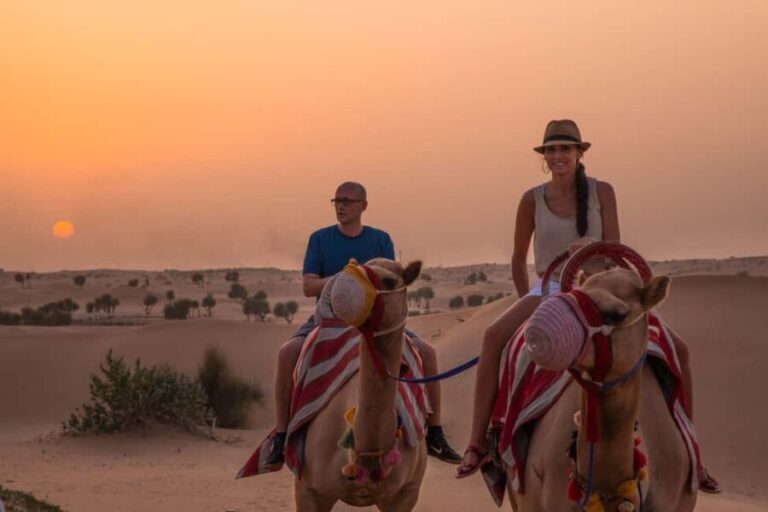 Dubai: Evening Camel Trekking & Dinner at Al Marmoom Oasis - Key Points
