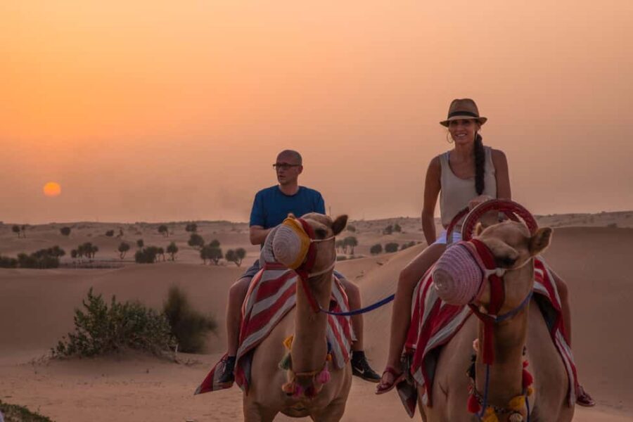 Dubai: Evening Camel Trekking & Dinner at Al Marmoom Oasis - Key Points