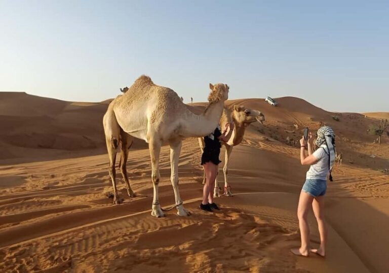 Dubai: Evening Red Dunes Desert Safari with Buffet Dinner - Why This Tour Offers Strong Value