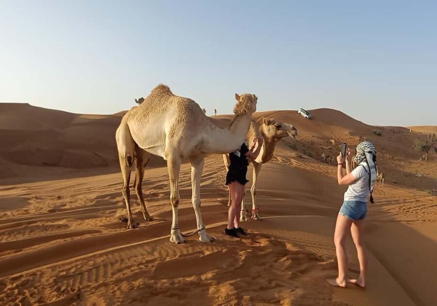 Dubai: Evening Red Dunes Desert Safari with Buffet Dinner - Why This Tour Offers Strong Value