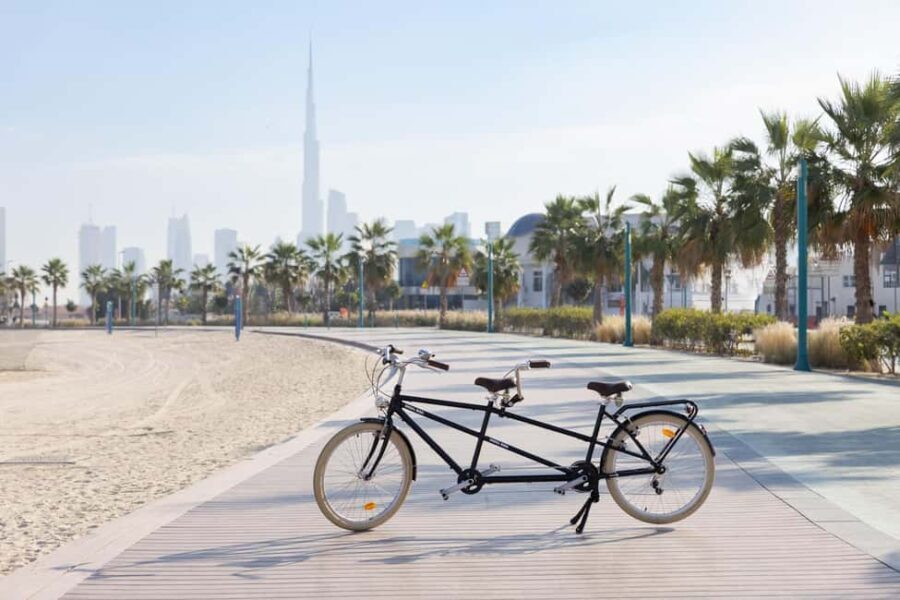 Dubai: Family-friendly Bike Adventure - Who Will Love This Experience?