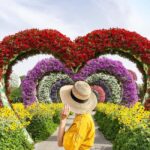 Dubai: Miracle Garden Entry Ticket with Hotel Transfer - The Experience: What Travelers Are Saying